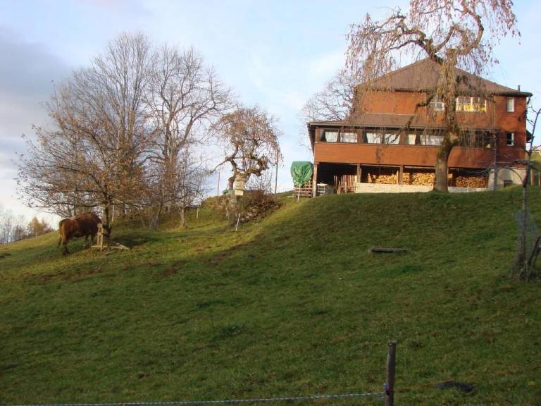 Fully equipped big vacation home with barbeque, terrace & garden | Nature view | Pets allowed — photo 2
