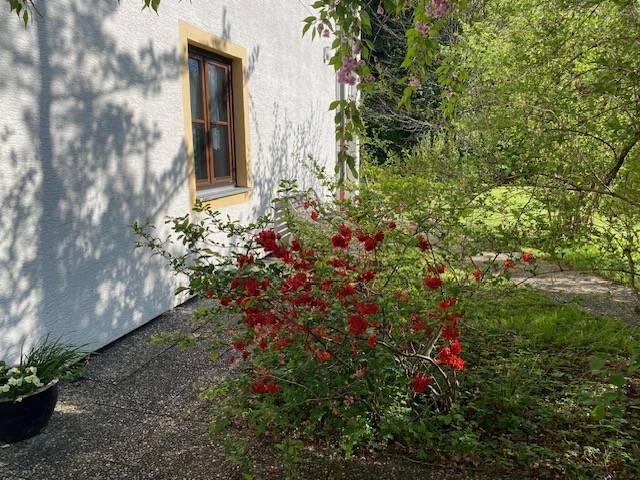 foto19