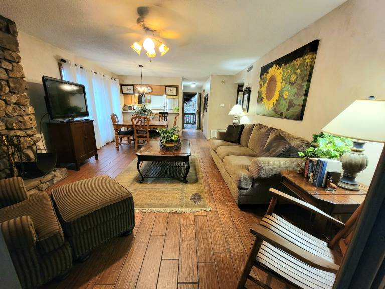 Condo Mount Ida Township