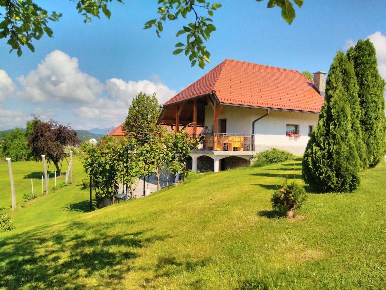House Celje