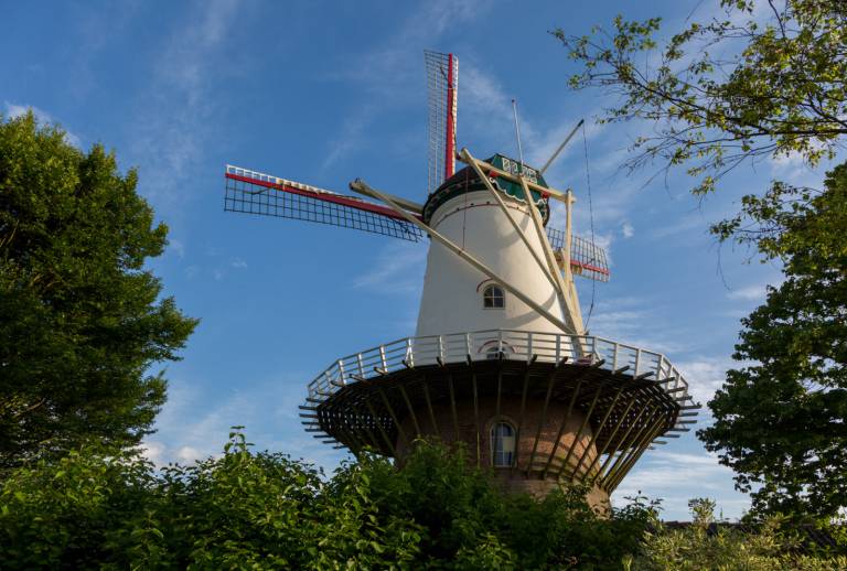 foto21