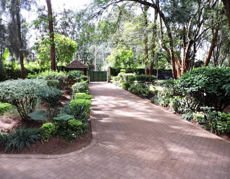 Milimani Backpackers & Safari Centre Ltd — photo 2