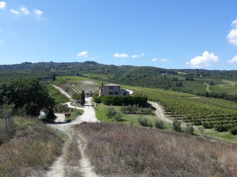 Podere Sant Antonio di Orvieto: Villa Podere Sant Antonio — photo 3