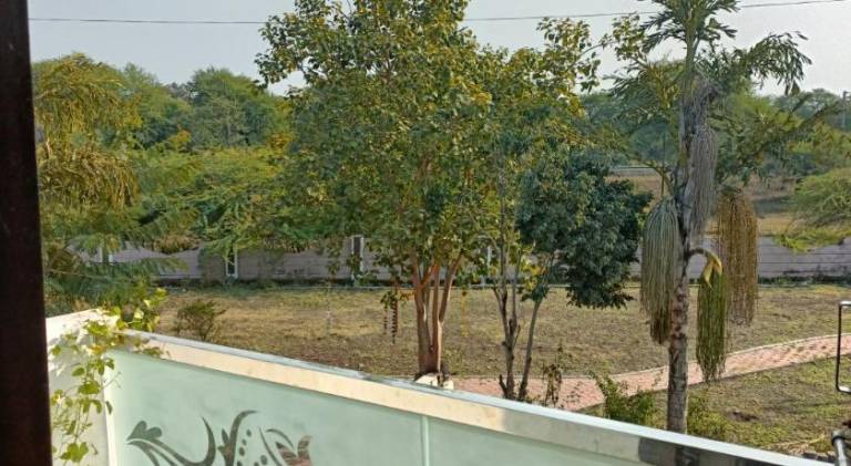 foto7