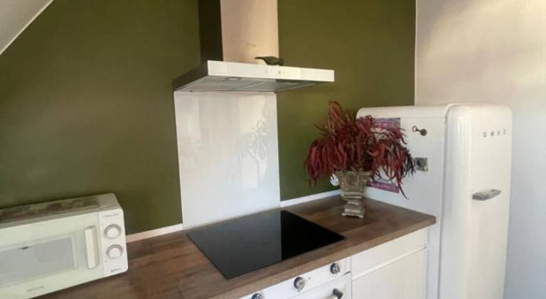 Fully equipped apartment | Pets allowed — photo 4