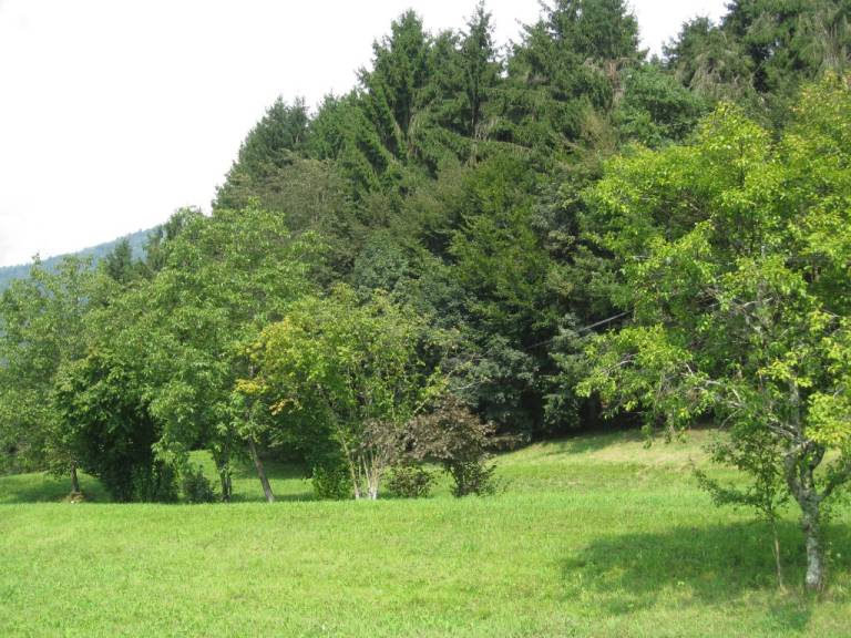 foto16
