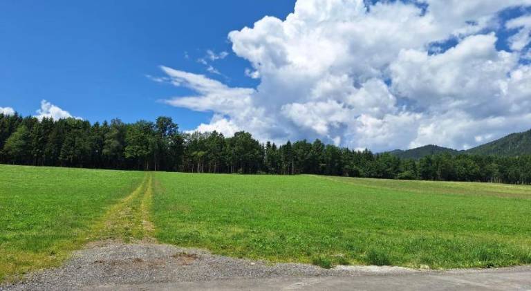 Campingplatz Orange Schindelbacherhof — photo 4