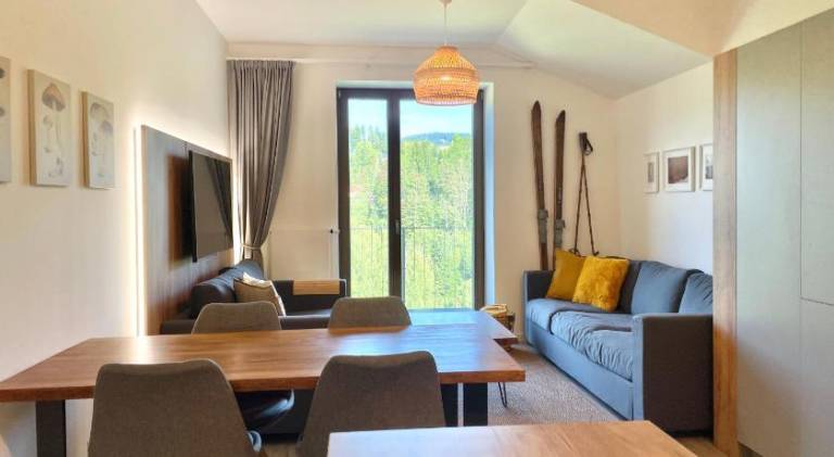 Apartmán Horní Rokytnice