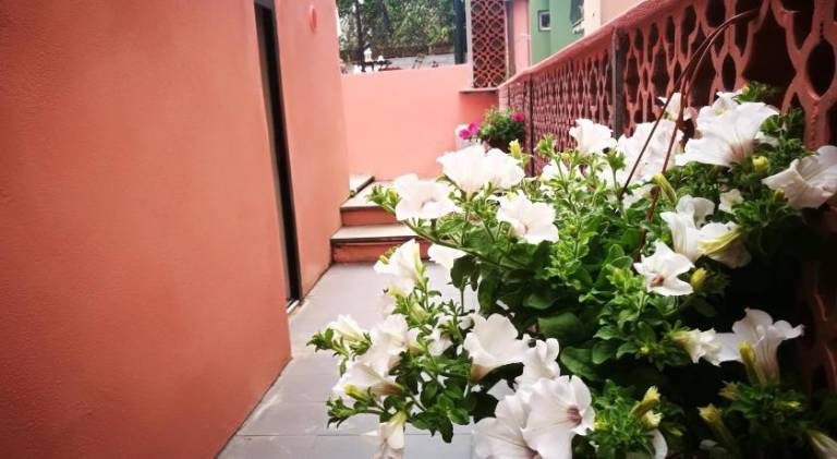 Pink House Garden — photo 3