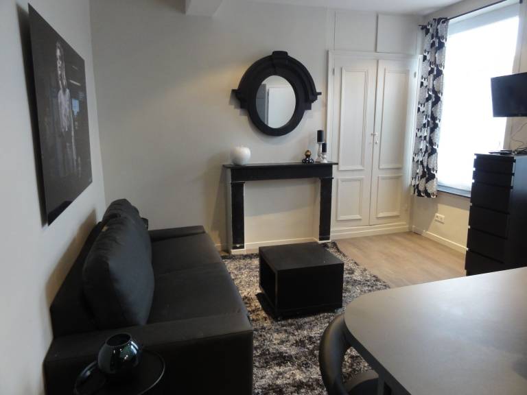 Apartment Lille