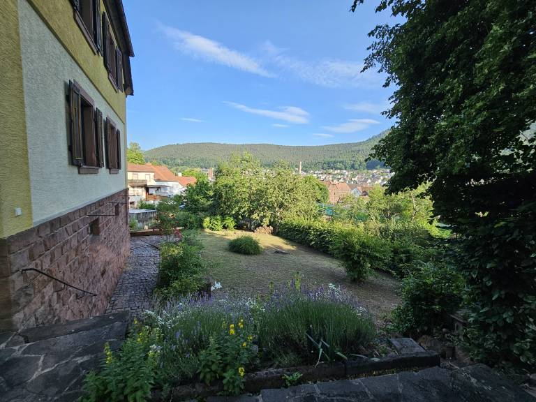 foto12