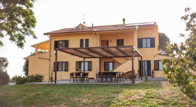 Holiday apartment with grill, yard & terrace — photo 5
