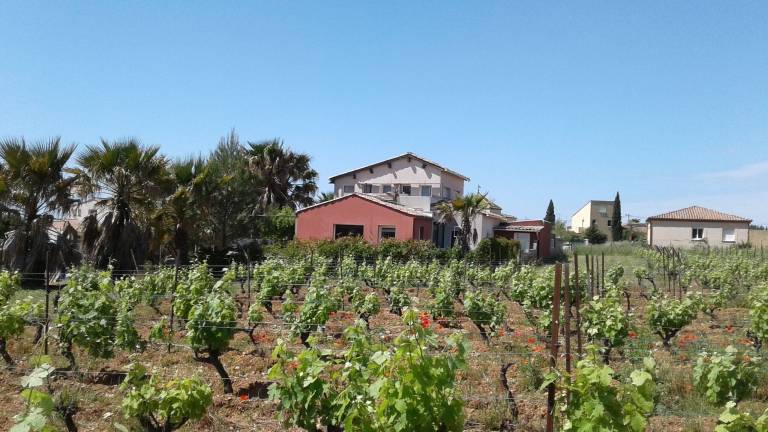 Maison de vacances Montpeyroux