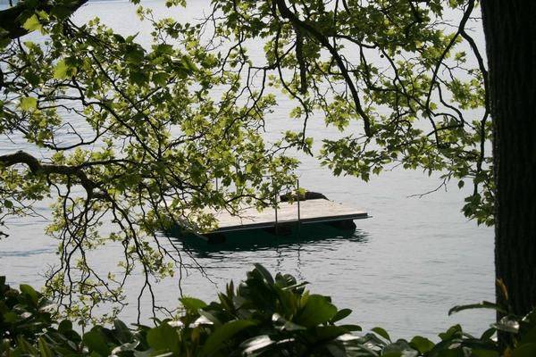 foto8