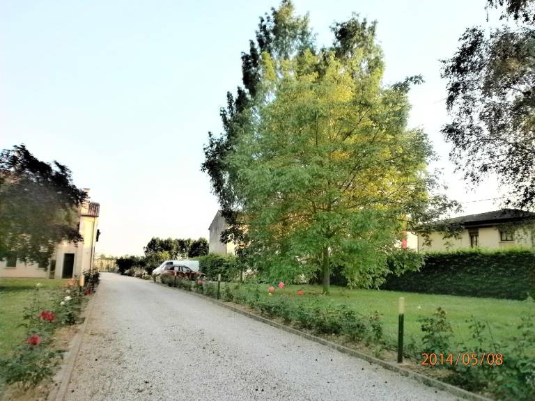 foto12