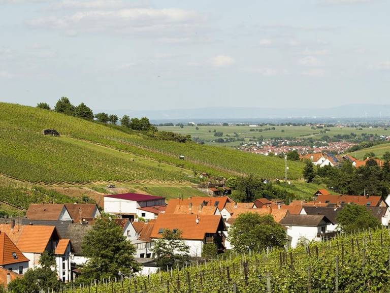 Ferienwohnung Leinsweiler
