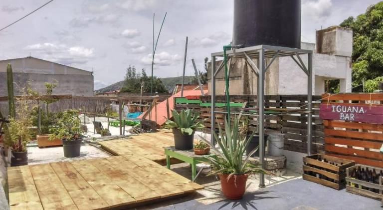 Iguana Hostel Oaxaca — photo 4