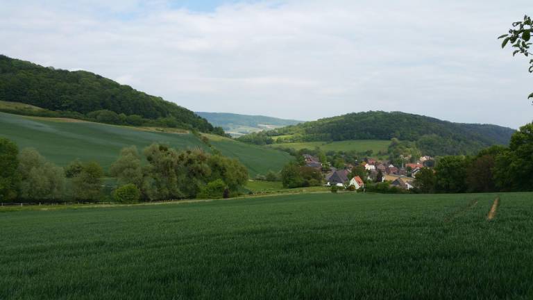 foto16