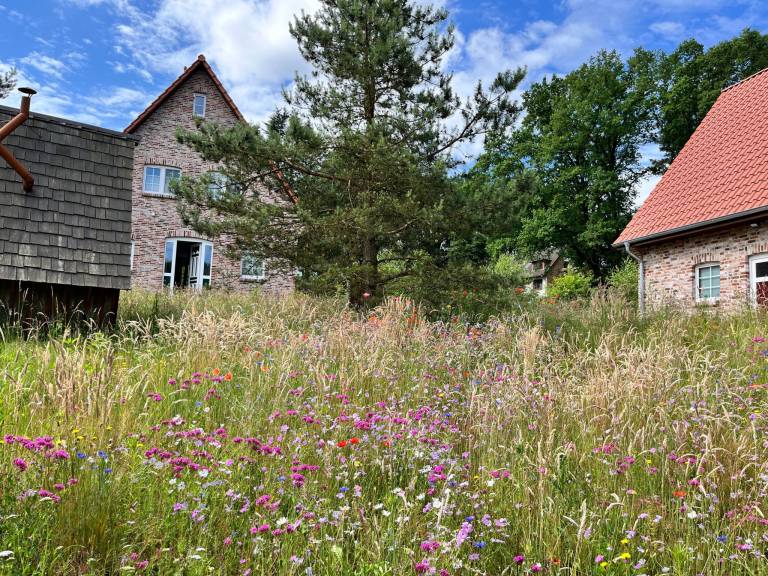 House with terrace, barbeque & garden | Nature view — photo 3