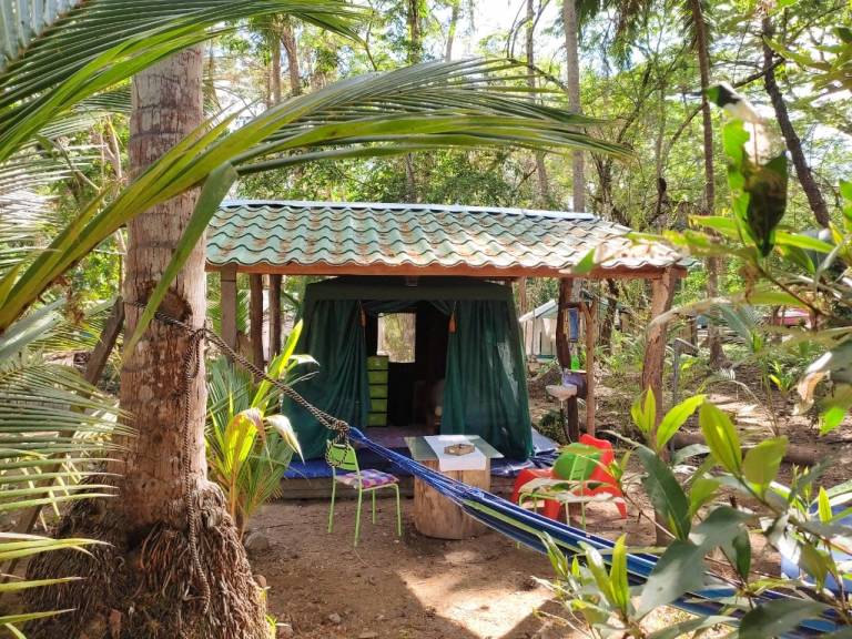 Camping  Órganos