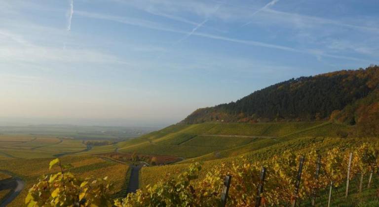 Gasthof Goldener Stern — photo 5