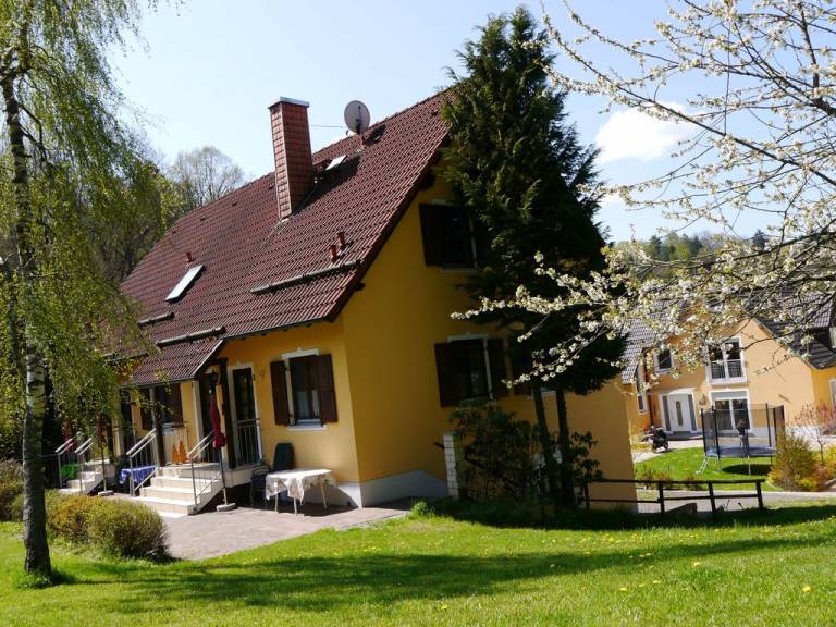foto11
