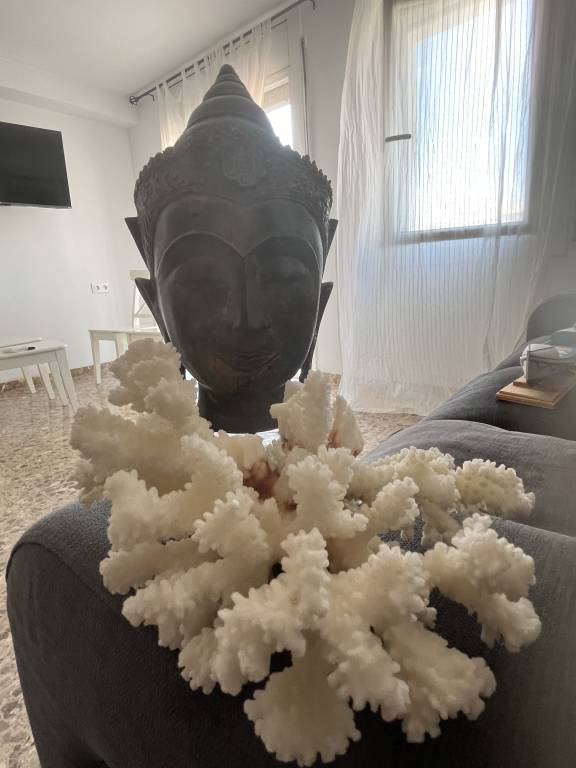 foto19