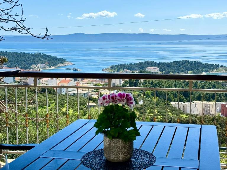 Fully equipped vacation home with private pool, yard & barbeque | Mountain view | Pets are welcome — photo 4