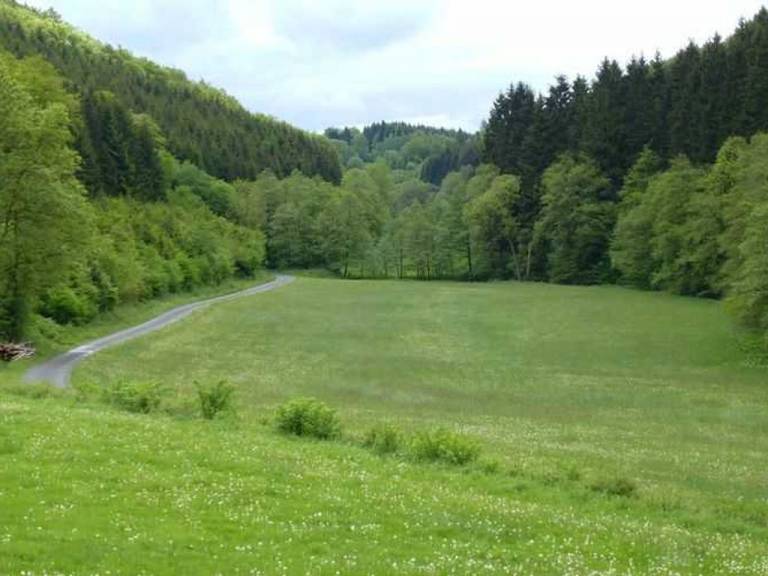 foto15