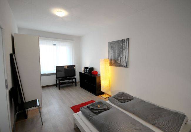 foto1