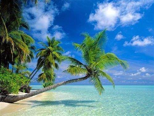 Ferienhaus Maafushi
