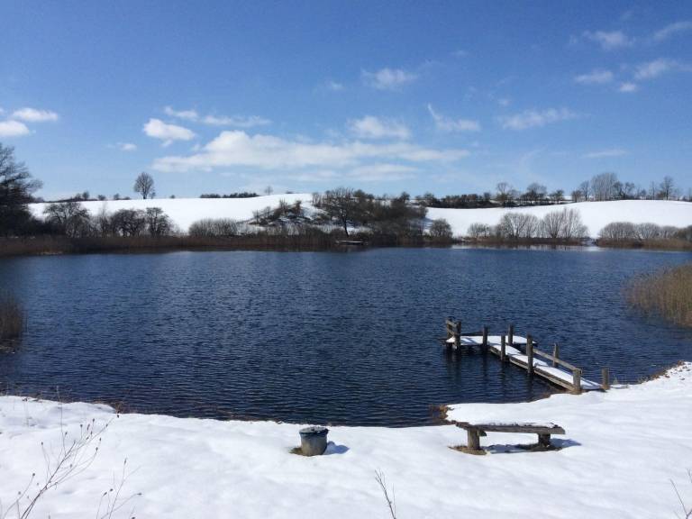 Big apartment with patio | Pets are welcome in Guestrow