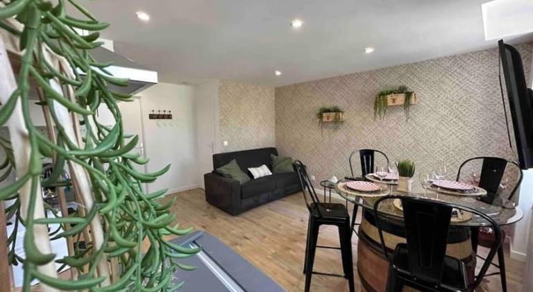 Appartement Vienne