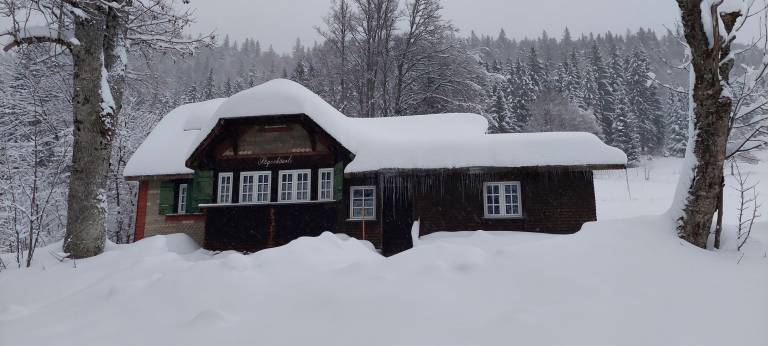 Ferienhaus Feldberg (Schwarzwald)
