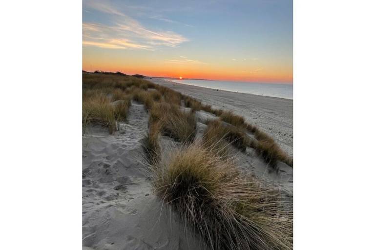 foto28