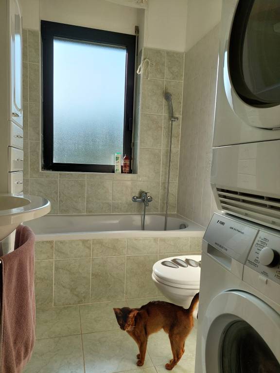 foto3