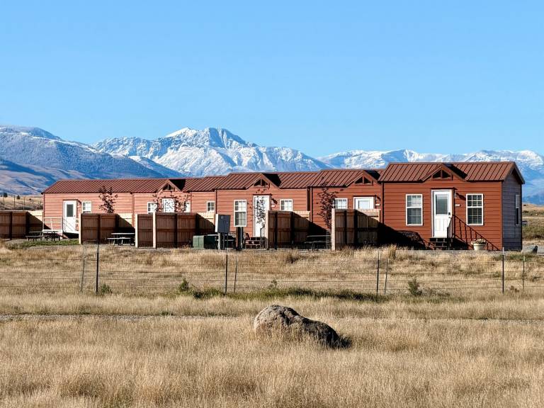 Cabin Emigrant