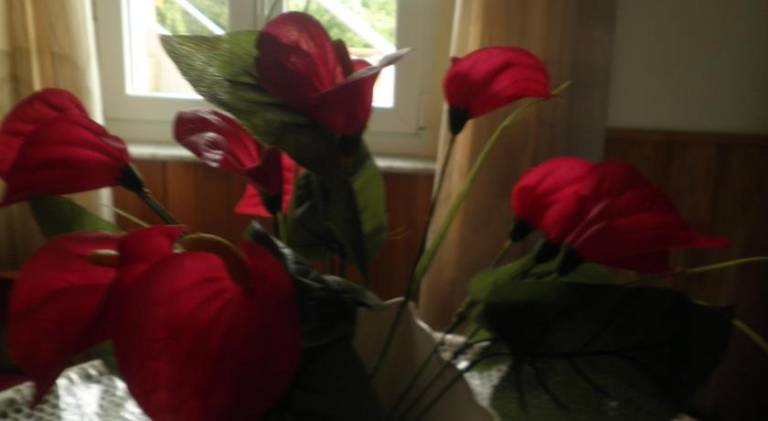 foto21
