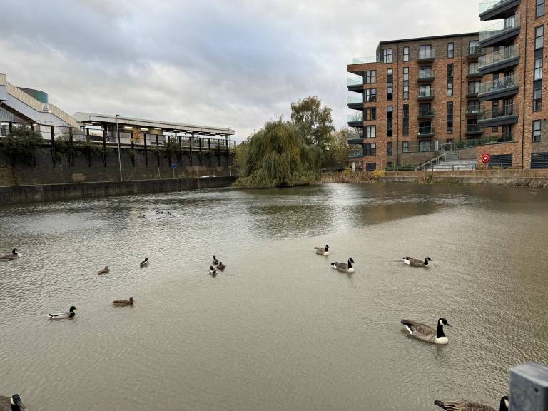 Luxury Apartment in Dartford