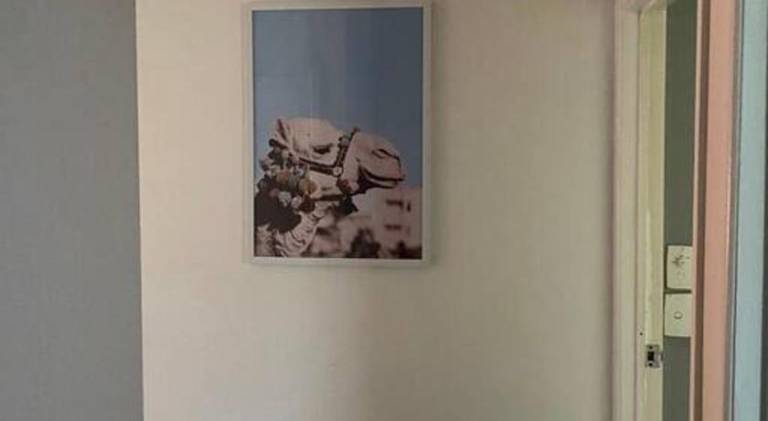 foto8