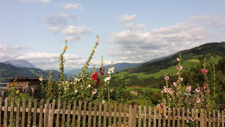 foto10