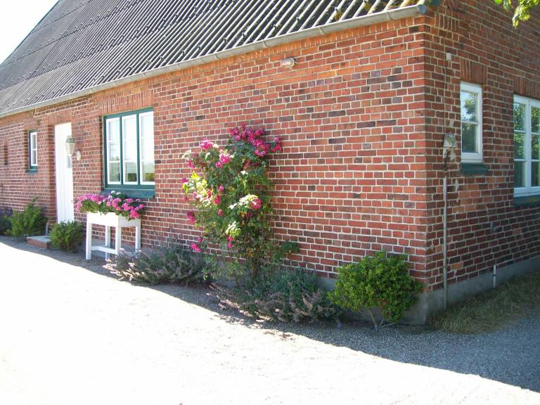 foto14