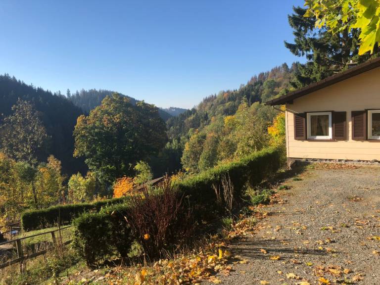 foto26
