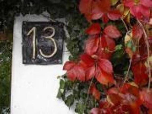 foto8