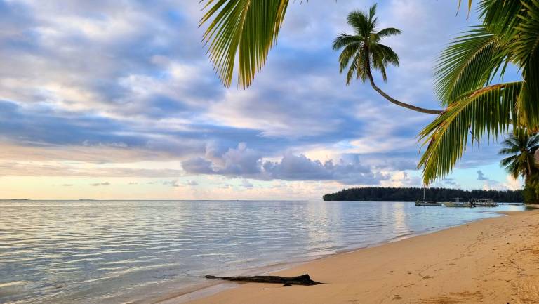 Studio Moorea