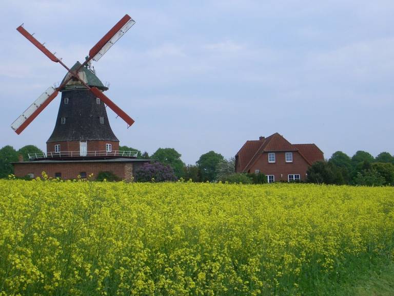 Ferienwohnung Neubukow