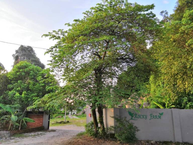 160 m² Bauernhof