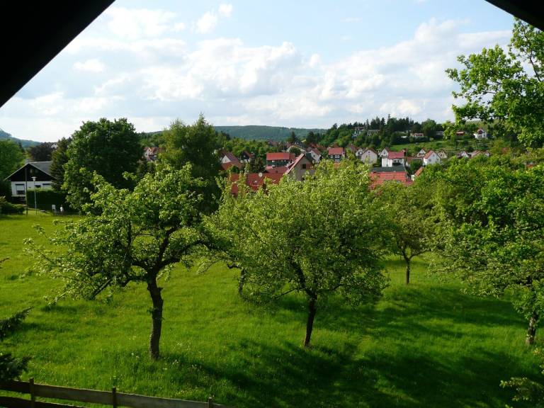 foto23