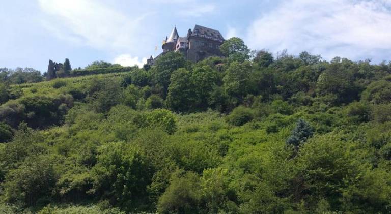 foto11