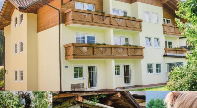 Apartment with garden, sauna & barbeque in Flachau